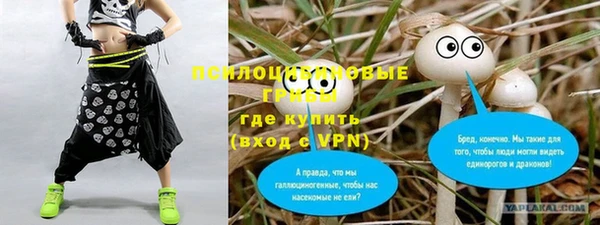 твердый Алзамай